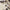 Image + 2 Small Images