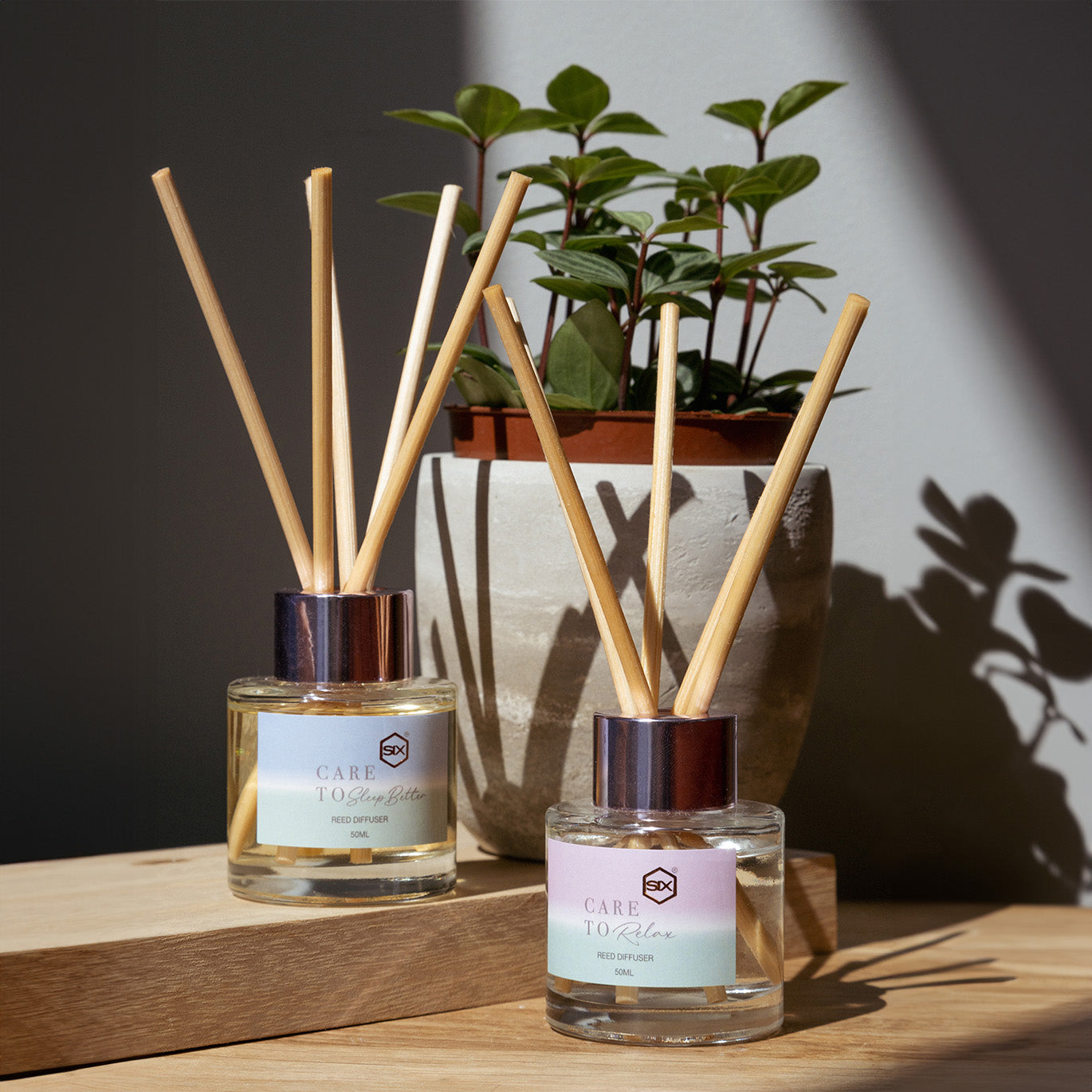 Petite Reed Diffusers (50ml) Twin Pack