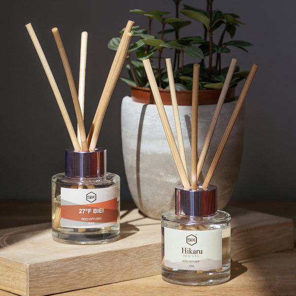 Petite Reed Diffusers (50ml) Twin Pack