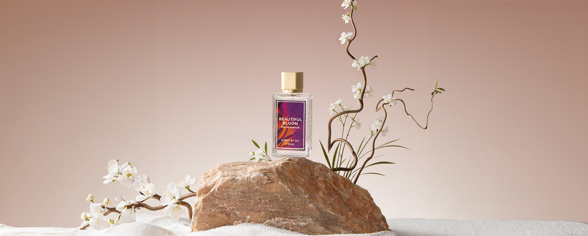 The Reflections Collection