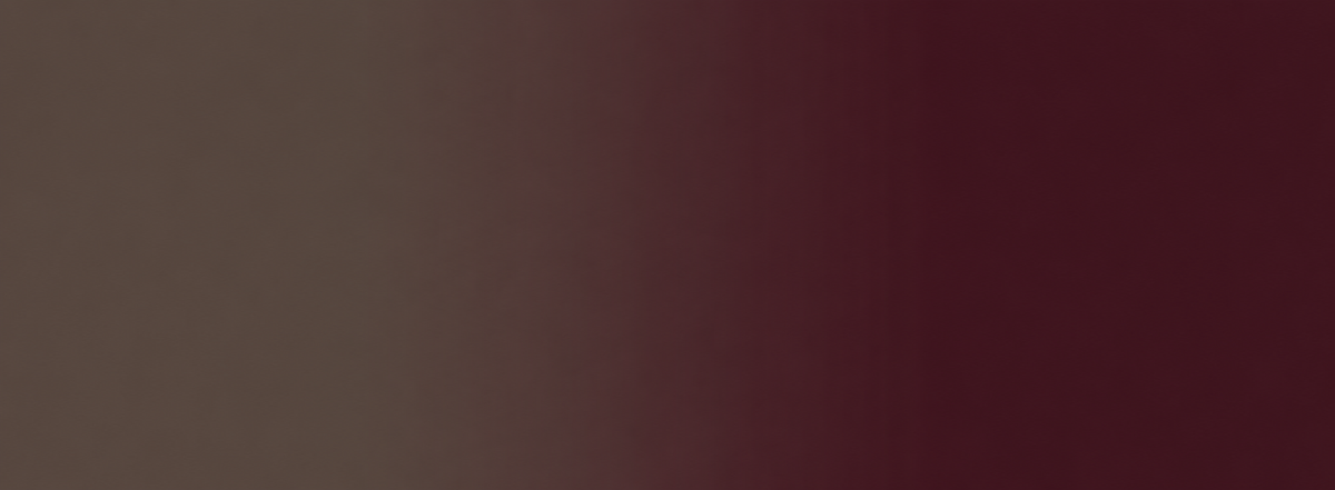 4-DAY<br>SPECIAL DEAL<p></p>