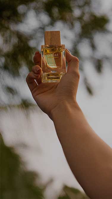 A Fragrant Journey, Rewarded