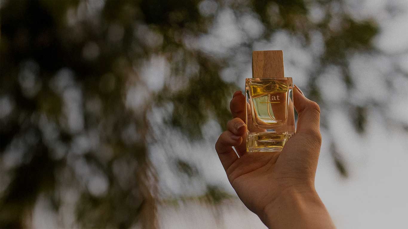 A Fragrant Journey, Rewarded